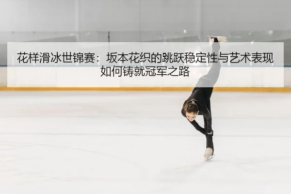 hua-yang-hua-bing-shi-jin-sai-ban-ben-hua-zhi-de-tiao-yue-wen-ding-xing-yu-yi-shu-biao-xian-ru-he-zhu-jiu-guan-jun-zhi-2-510.jpg