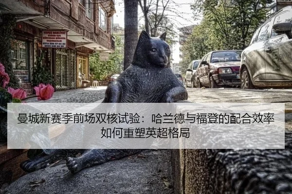 man-cheng-xin-sai-ji-qian-chang-shuang-he-shi-yan-ha-lan-de-yu-fu-deng-de-pei-he-xiao-lv-ru-he-zhong-su-ying-chao-ge-ju-3-515.jpg